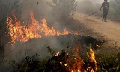 Wildfires in Northern Thailand Causing a Dangerous Choking Smog