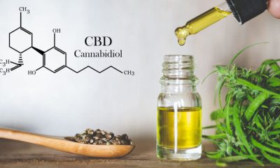 Hemp CBD Oil & Cannabidiol Based Products
