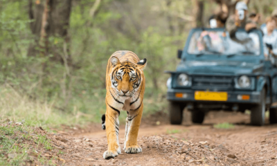 wildlife sanctuaries in india