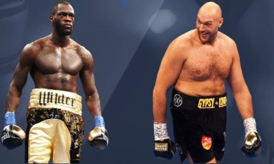 Boxer Wilder v Fury II