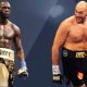 Boxer Wilder v Fury II