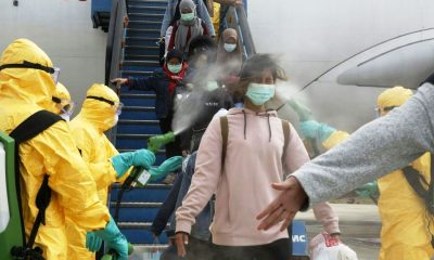 Covid-19 Virus