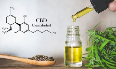 Understanding How CBD Oil Can Help Menopause Symptoms