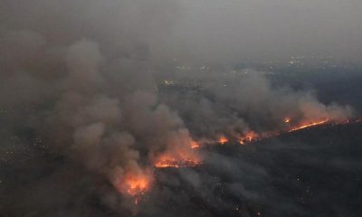 Forest Fires in Northern Thailand The Work of Arsonists