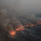 Forest Fires in Northern Thailand The Work of Arsonists