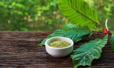 free Kratom, free smaples, free shipping