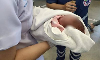 chiang mai, new born baby, northern thailand