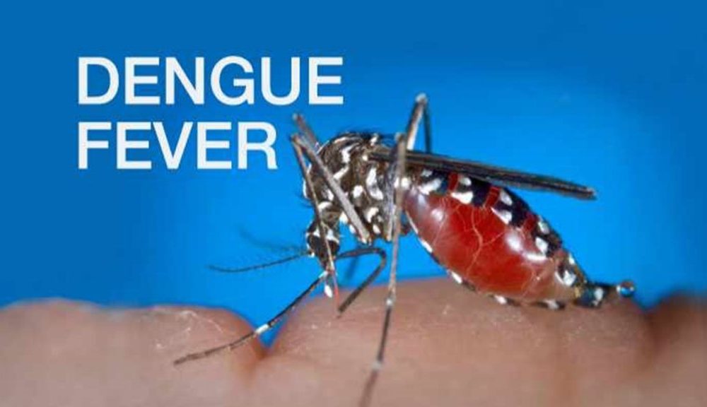 dengue fever outbreak northeastern thailand,