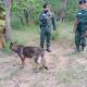 three year-old girl body found by police