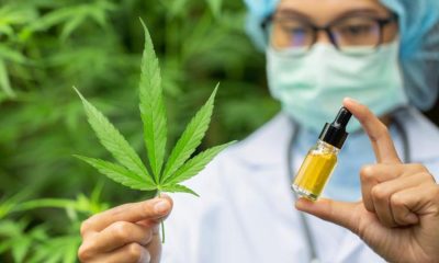 Cannabinoids, Cannabis, Cancer treatment