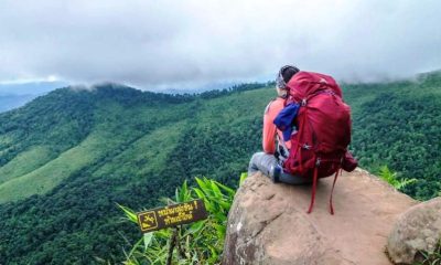 reservations, national parks, thailand