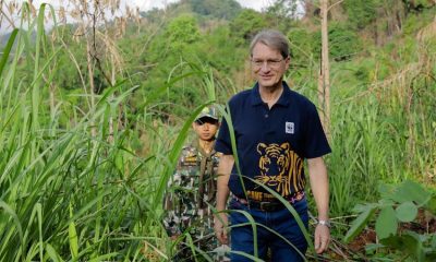 Thailand, Tigers, Wildlife,Habitat