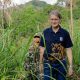 Thailand, Tigers, Wildlife,Habitat