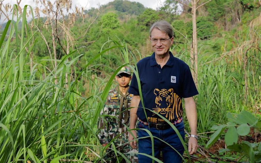 Thailand, Tigers, Wildlife,Habitat