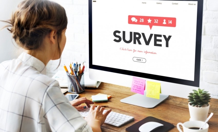 websites, surveys, make money