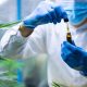 Big Pharma,cannabidiol CBD Research,marijuana