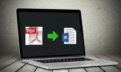 PDF To Word: The Fastest Way To Convert Through PDFBear