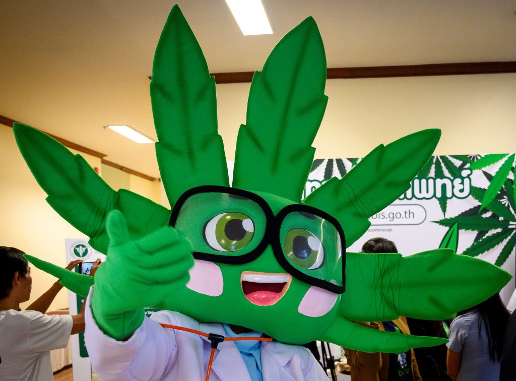 medical cannabis, thailand