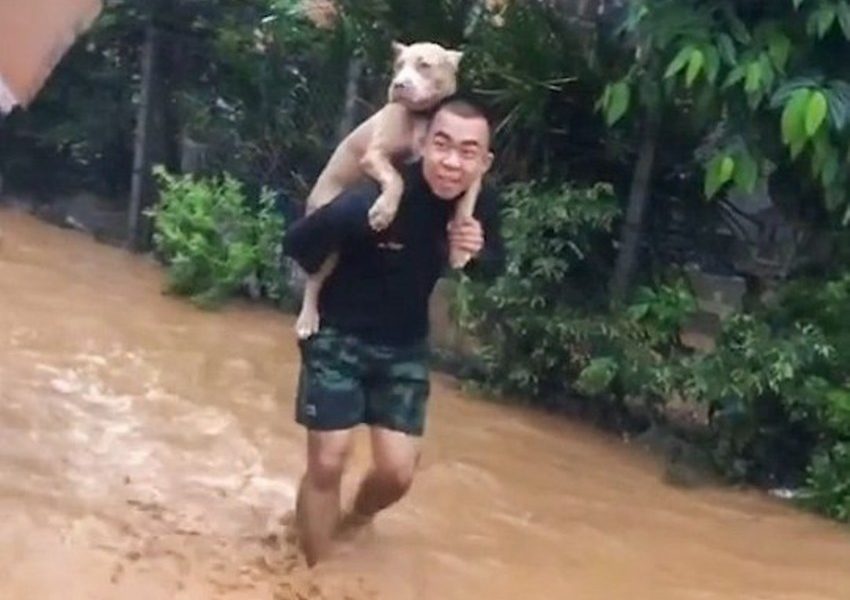 Chiang Rai, Thailand, Flooding, Floods