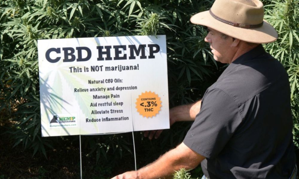 Farmer’s Seeing the Economic Benefit With the Demand for CBD