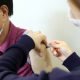 Pathologist Find No Link Between Death Flu Vaccine in South Korea