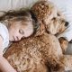 Seven Benefits of Having a Golden Doodle Around Your Kids