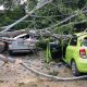 Tourist Injured after Tree Crashes onto them a Temple in Chiang Mai