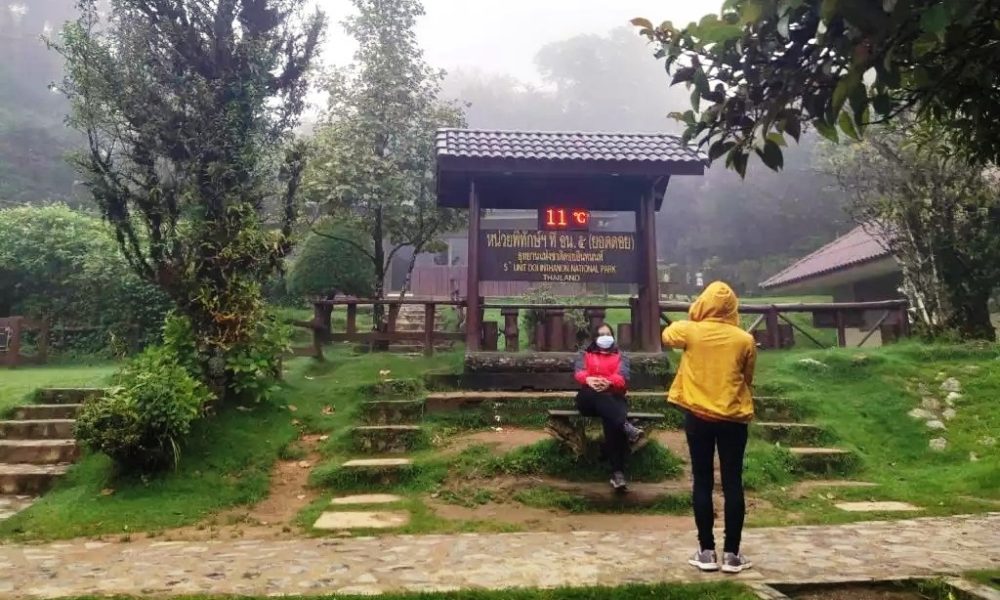 Tourists Enjoy 11-Degree Weather at Doi Inthanon in Chiang Mai