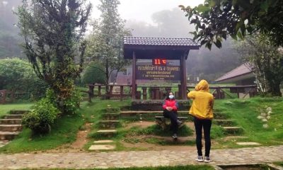 Tourists Enjoy 11-Degree Weather at Doi Inthanon in Chiang Mai