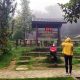 Tourists Enjoy 11-Degree Weather at Doi Inthanon in Chiang Mai