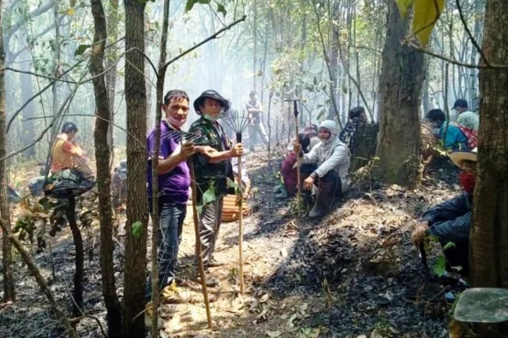 Northern Thailand to Harvest Dead Leaves for Renewable Energy Source