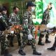 Wildlife officials, tiger cubs, thailand