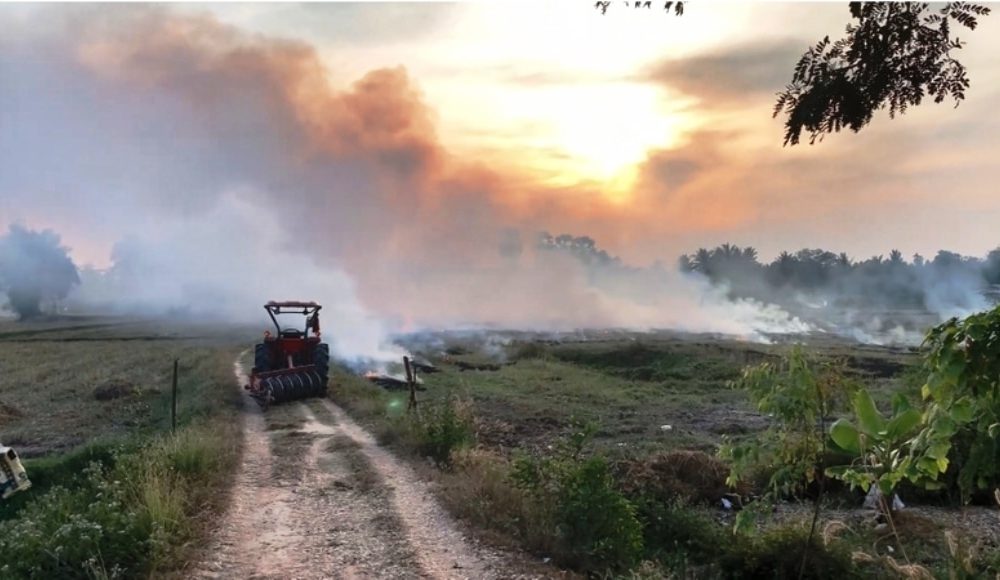 Authorities Intensify Efforts to Reduce Field Burning in Northern Thailand