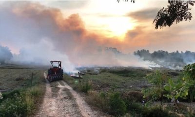 Authorities Intensify Efforts to Reduce Field Burning in Northern Thailand