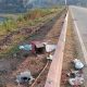 Chiang Mai Threaten to Close Mae Kuang Dam Park Due to Litterbugs