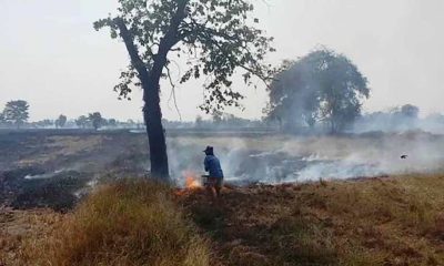 Farmers Burning Fields Spikes PM2.5 Particles in Northern Thailand