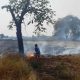 Farmers Burning Fields Spikes PM2.5 Particles in Northern Thailand