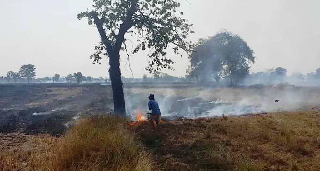 Farmers Burning Fields Spikes PM2.5 Particles in Northern Thailand