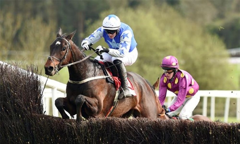 Victory in Irish Gold Cup Makes Kemboy a Major Cheltenham Contender