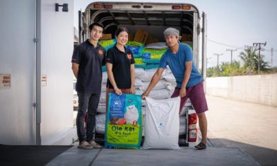 Thailand, King, ,Soi Dog Foundation