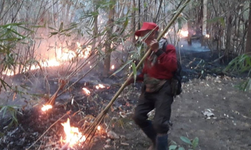 Firefighter Struggle to Contain Wildfires in Northern Thailand