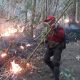 Firefighter Struggle to Contain Wildfires in Northern Thailand