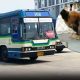 Bus Driver Praised After Rescuing Exhausted Stray Dog from Expressway