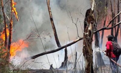 Firefighters Struggling to Combat Brush Fires in Northern Thailand