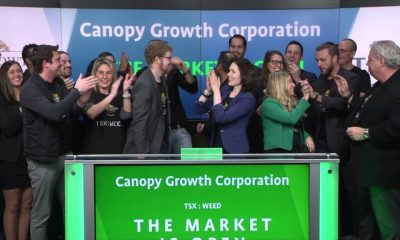 Canopy Growth Stocks Surges 12% as More People Invest into Cannabis