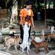 Soi Dog Foundation Warns Global Animal Health is Being Overlooked