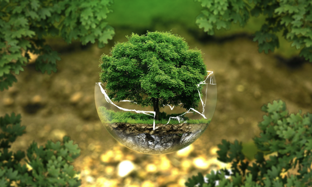 6 Tips on How to Be More Eco-Conscious While Traveling