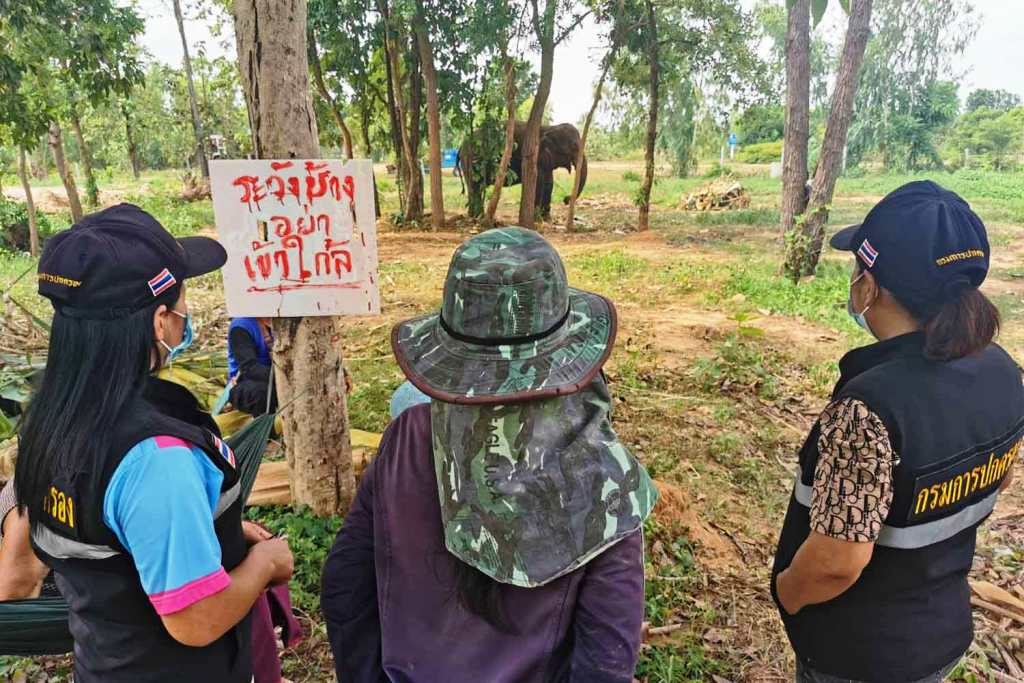 Mahout and Elephant "Cherry" Fall Under Hard Times after Tourist Killed