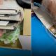 package, UPS, USPS, Australia Bound Notebooks Lined with Heroin Seized at Bangkok Airport