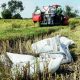 Baht, Thailand, world's biggest rice exporter